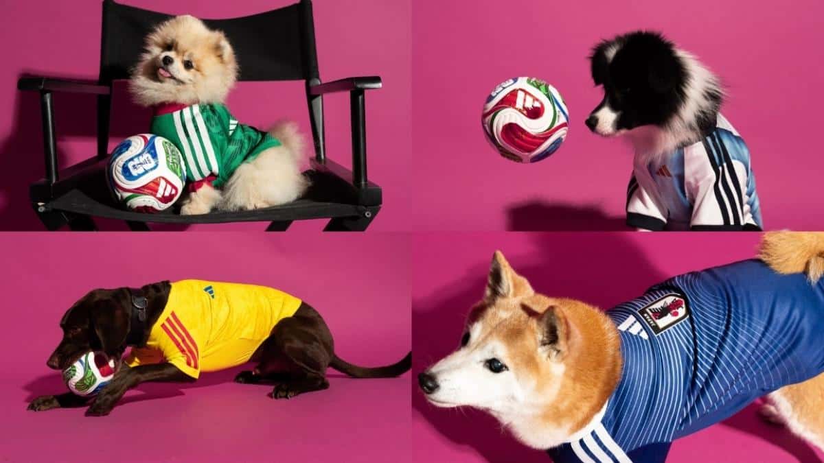 Adidas presenta una colección de camisetas del Mundial 2026 para mascotas
