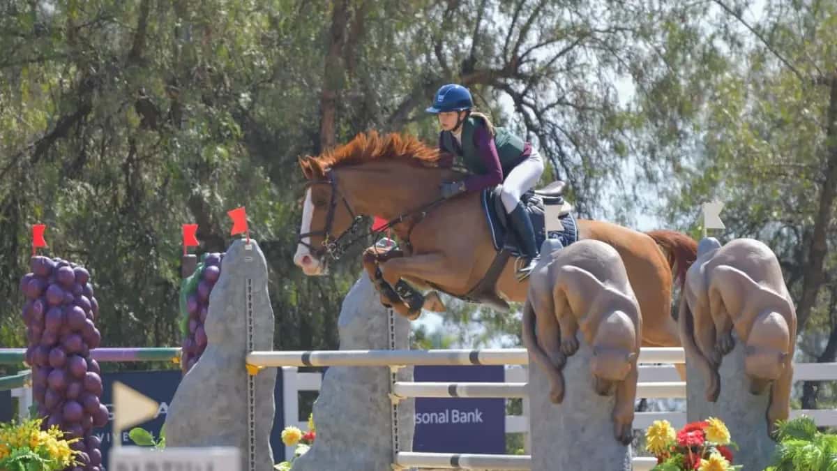Ecuador llevará 13 deportistas al FEI Jumping South American Championship 2026 en Santiago